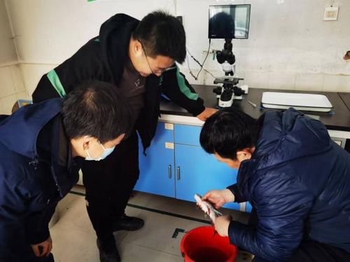 水產(chǎn)學(xué)院專(zhuān)家赴天津渤海農(nóng)業(yè)集團(tuán)開(kāi)展技術(shù)交流與合作指導(dǎo)