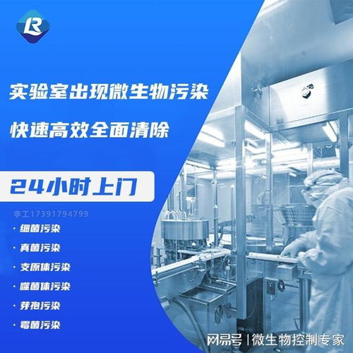 實(shí)用細(xì)胞培養(yǎng)入門指南與北上廣專業(yè)實(shí)驗(yàn)室消毒服務(wù)